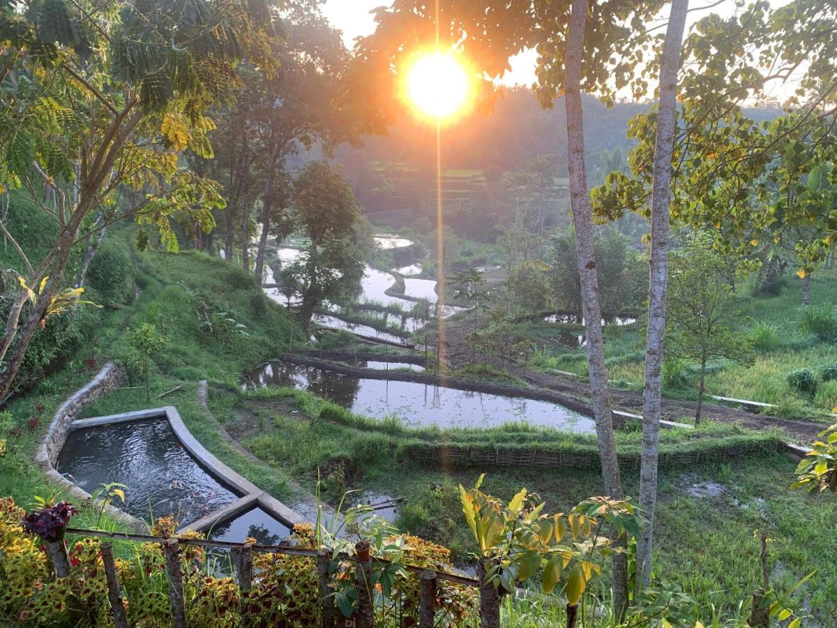The Alam Tetebatu Bungalow & Restaurant Exteriér fotografie