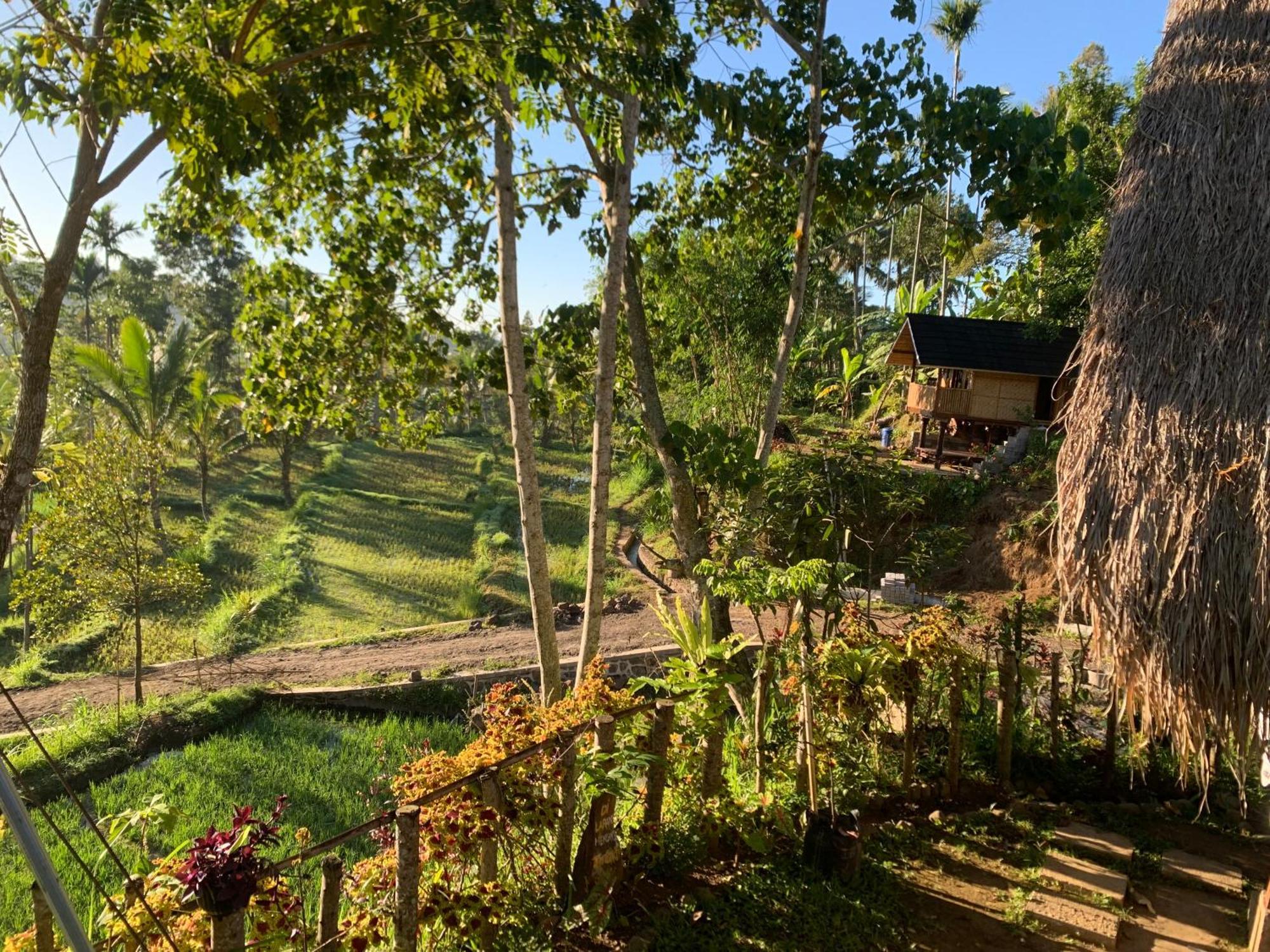 The Alam Tetebatu Bungalow & Restaurant Exteriér fotografie