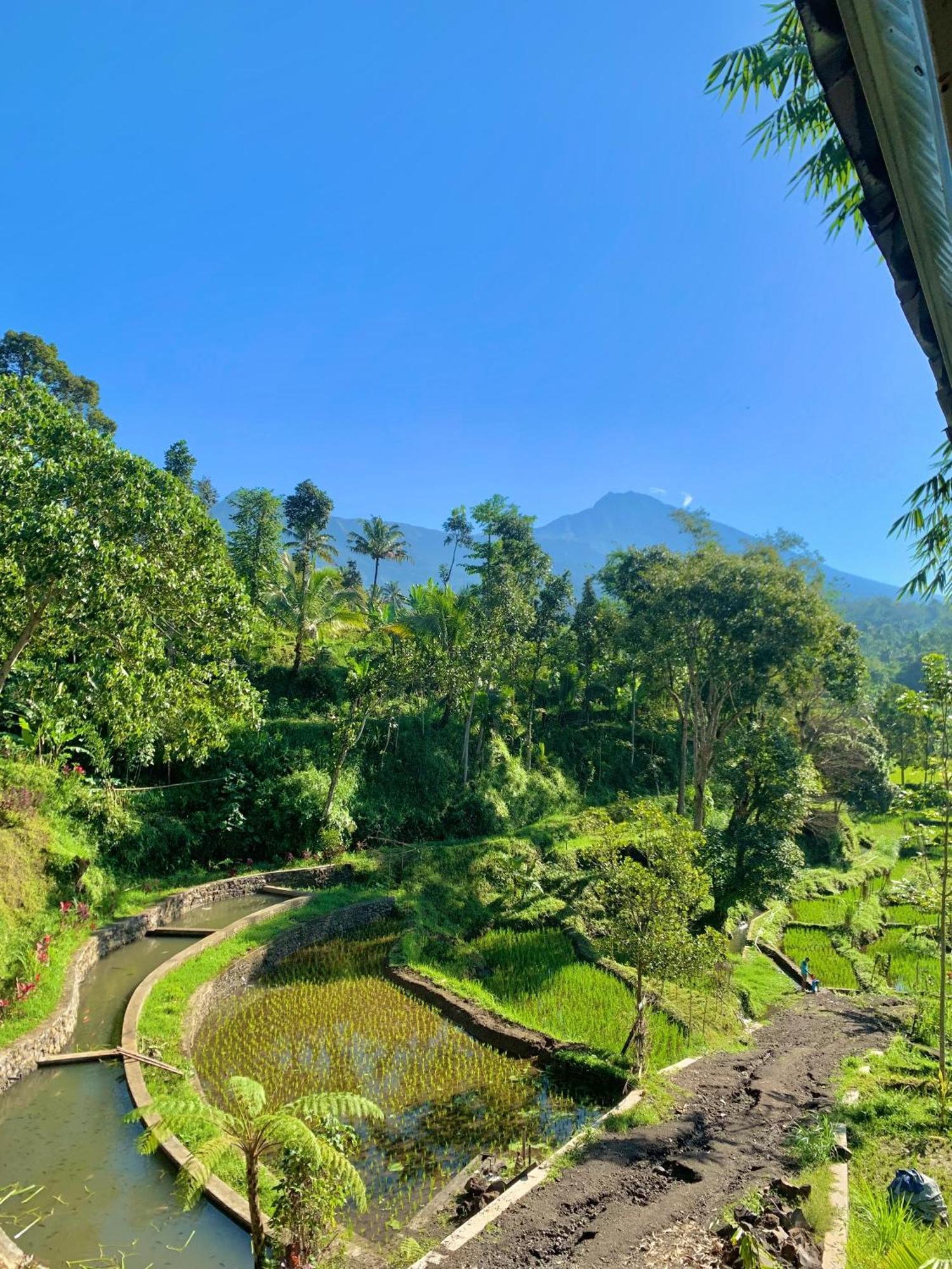 The Alam Tetebatu Bungalow & Restaurant Exteriér fotografie