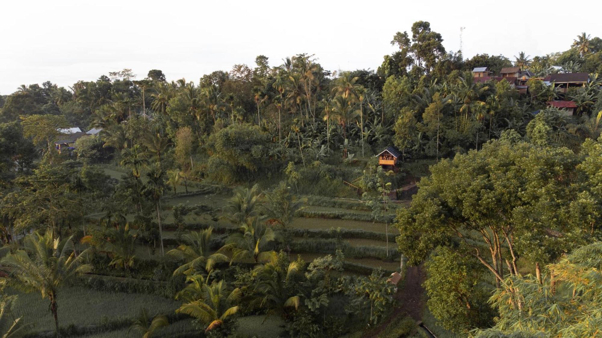 The Alam Tetebatu Bungalow & Restaurant Exteriér fotografie
