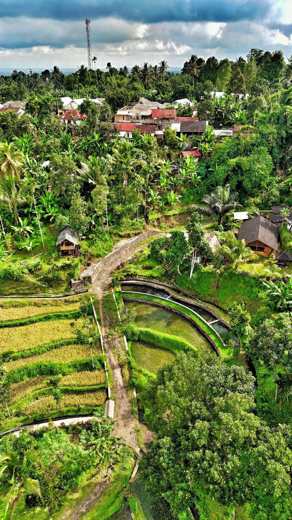 The Alam Tetebatu Bungalow & Restaurant Exteriér fotografie
