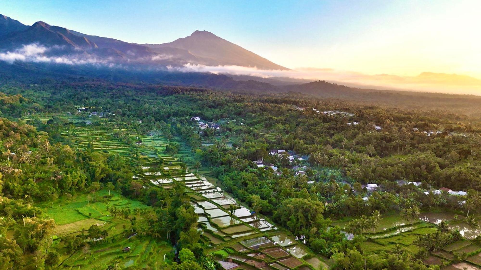 The Alam Tetebatu Bungalow & Restaurant Exteriér fotografie