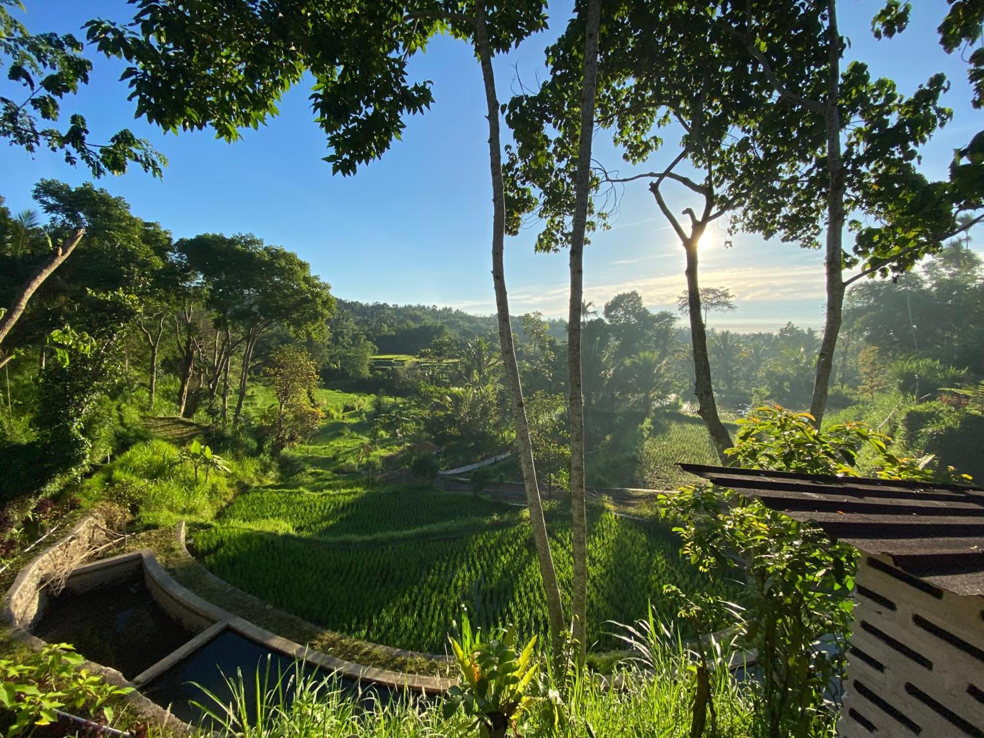 The Alam Tetebatu Bungalow & Restaurant Exteriér fotografie