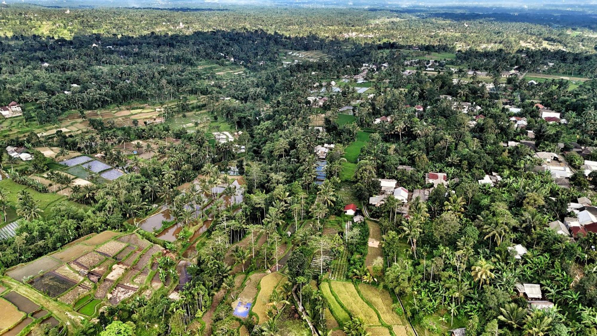 The Alam Tetebatu Bungalow & Restaurant Exteriér fotografie