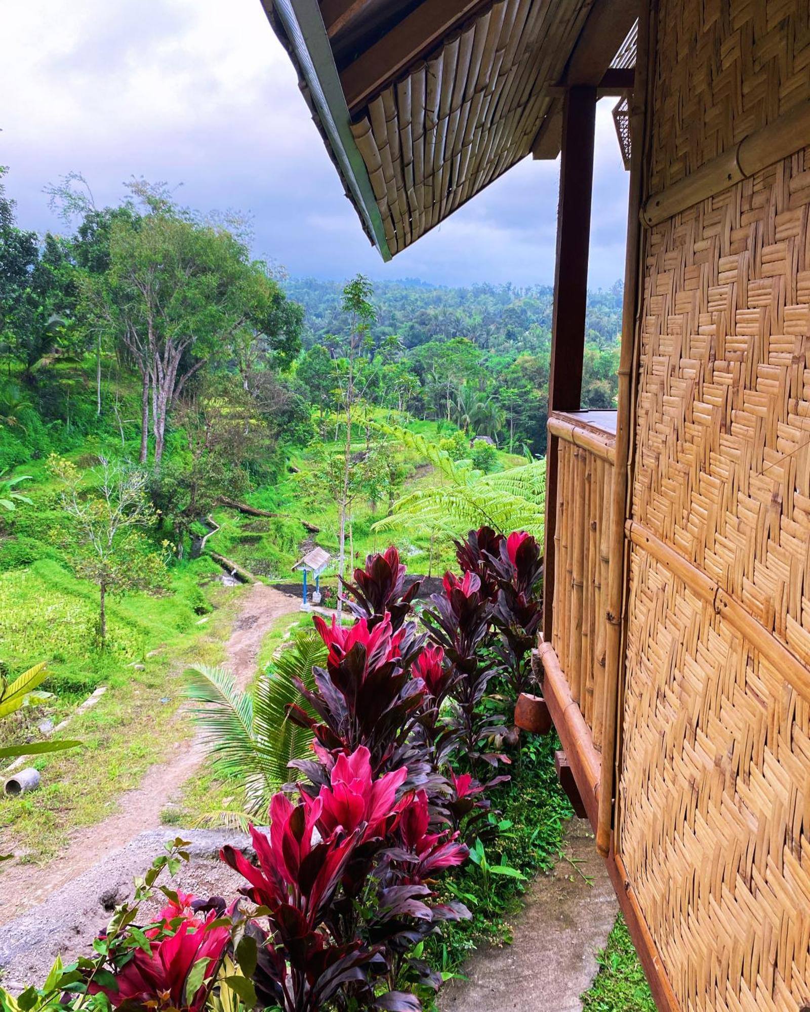 The Alam Tetebatu Bungalow & Restaurant Exteriér fotografie