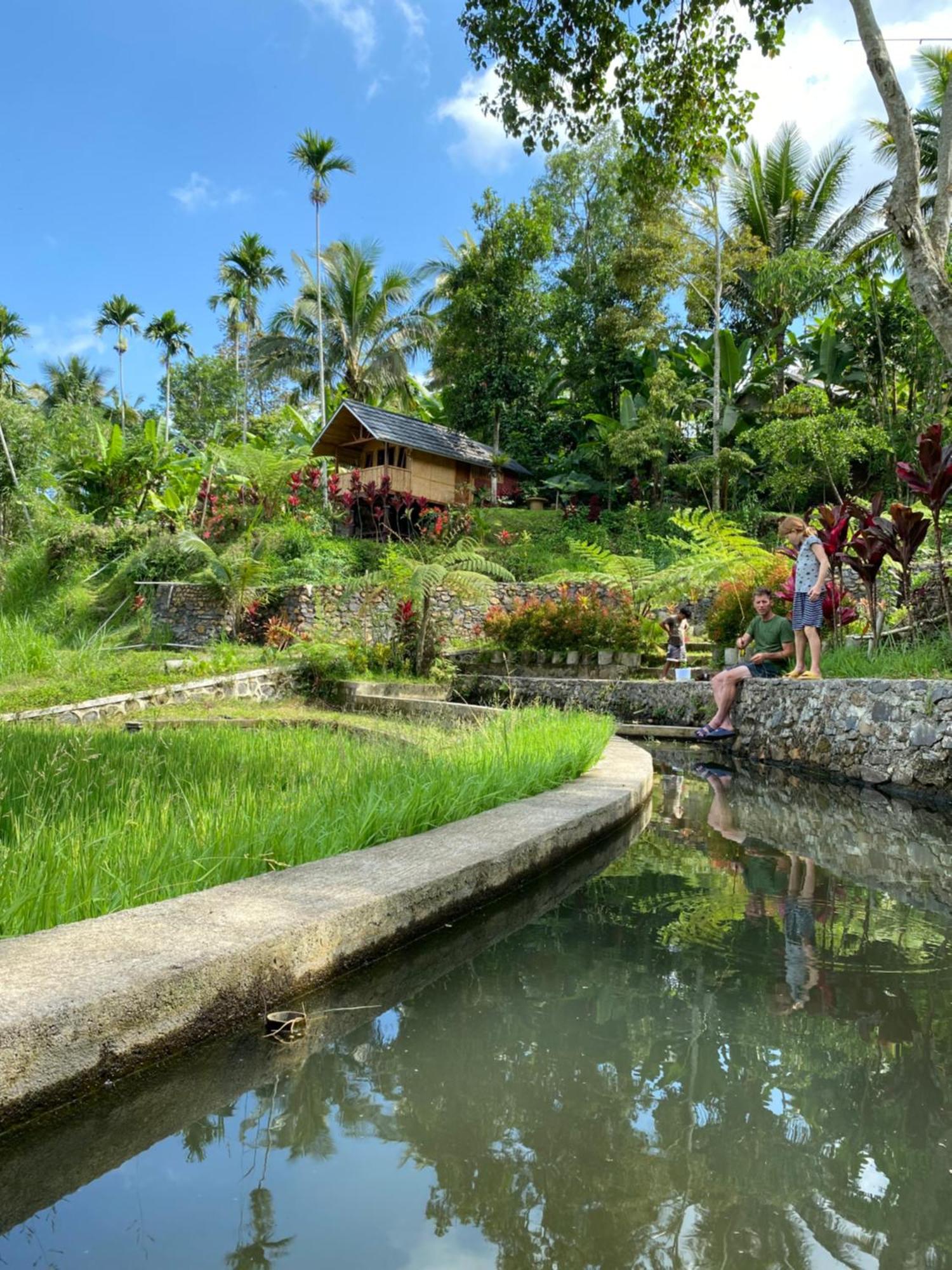 The Alam Tetebatu Bungalow & Restaurant Exteriér fotografie